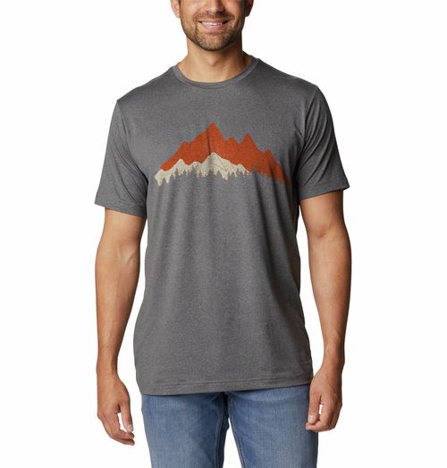 Remera Crew Tee Layer - Gris